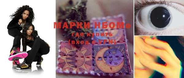 индика Волоколамск