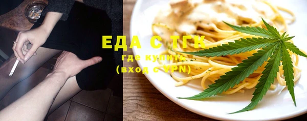 индика Волоколамск