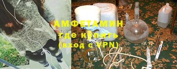 индика Волоколамск