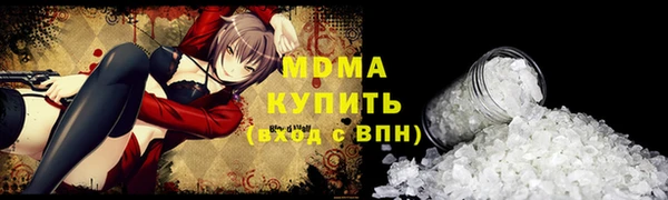 индика Волоколамск