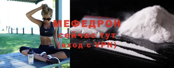 индика Волоколамск