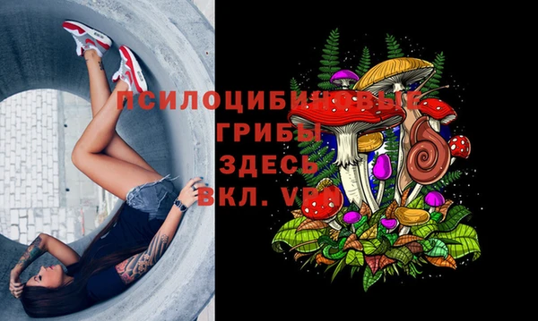 индика Волоколамск