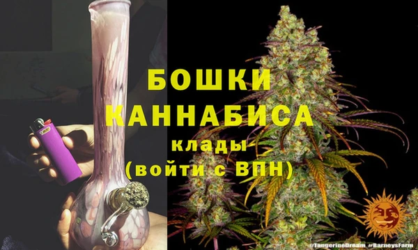 индика Волоколамск