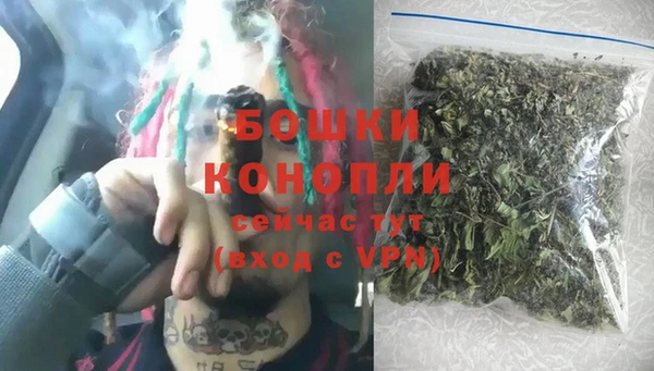 индика Волоколамск
