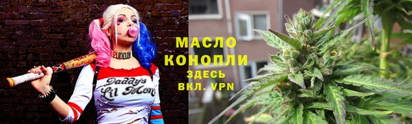 индика Волоколамск